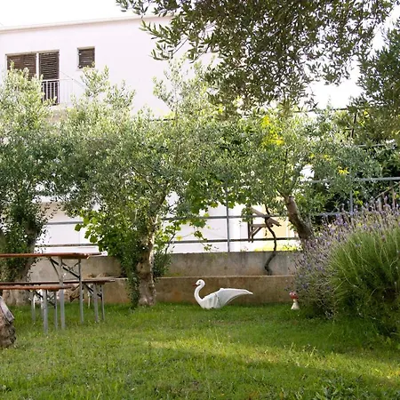 Pepi 3 Apartment